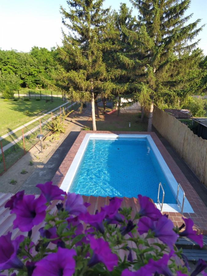 Blue Crystal Apartman Szabadka Kültér fotó